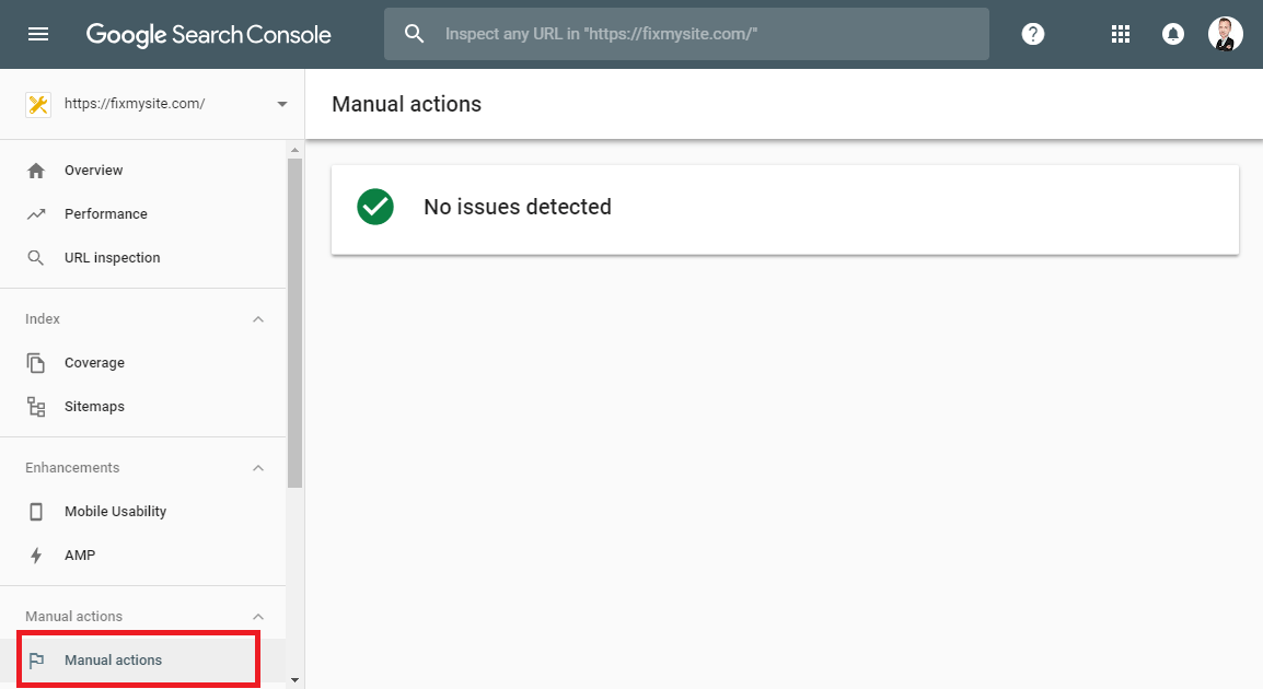 Google - Manual Actions