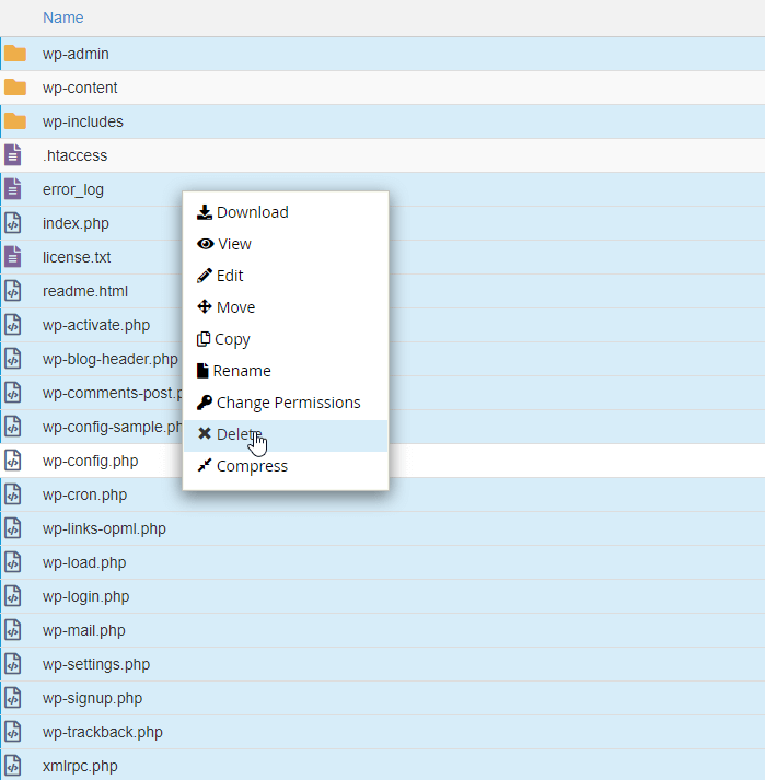Delete WordPress files