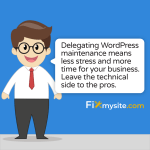 Delegating WordPress maintenance means less stress and more time for your business. Leave the technical side to the pros.