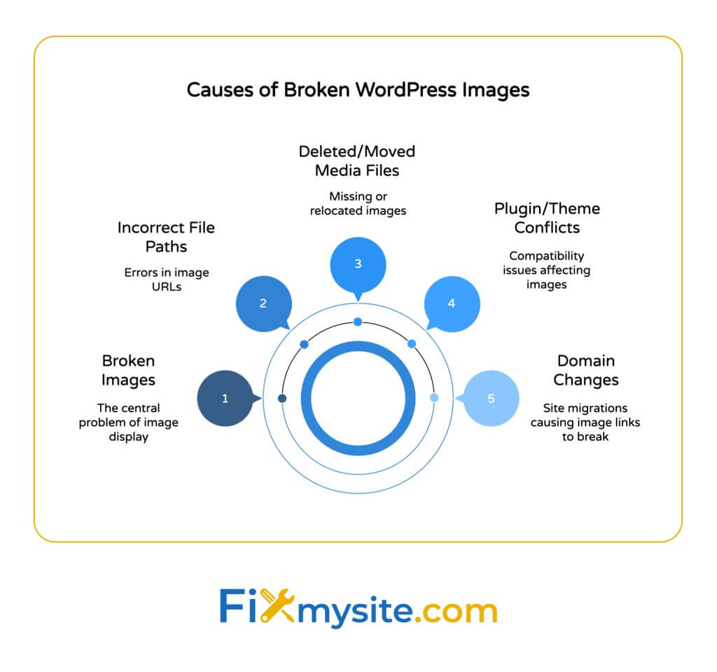 A radial diagram titled "Causes of Broken WordPress Images" showing five main factors that lead to image display problems. The center shows "Broken Images" as the core issue, with five connected elements numbered in a circular arrangement: 1) Incorrect File Paths (errors in image URLs), 2) Deleted/Moved Media Files (missing or relocated images), 3) Plugin/Theme Conflicts (compatibility issues affecting images), 4) Domain Changes (site migrations causing image links to break), and 5) Server Permission Issues (not shown in the visible portion). Each cause is represented by a blue circle with darker blue for primary causes and lighter blue for secondary factors.

