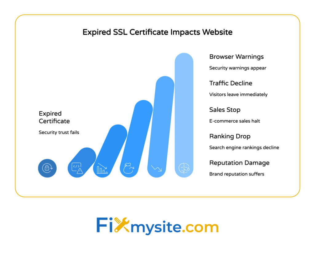 Cascading bar chart showing five progressive impacts of expired SSL certificates: browser security warnings appear, website traffic declines as visitors leave, e-commerce sales halt, search engine rankings drop, and brand reputation suffers